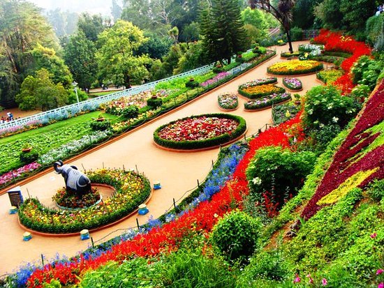 Ooty Travel Hub