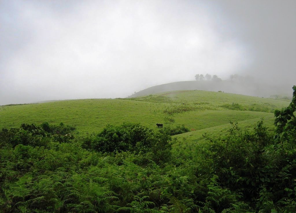 Ooty Monsoon